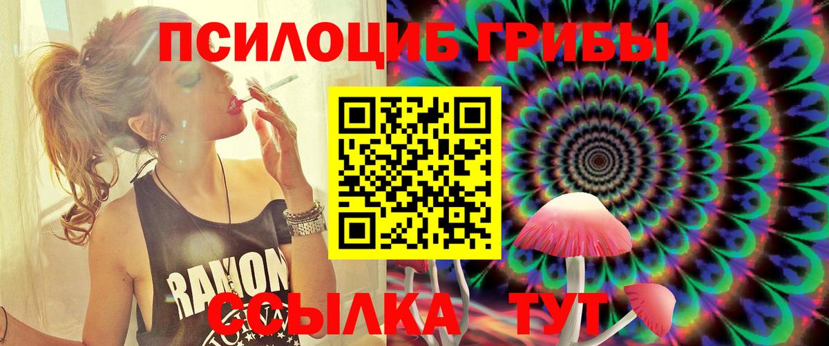 Псилоцибиновые грибы Psilocybe Скопин