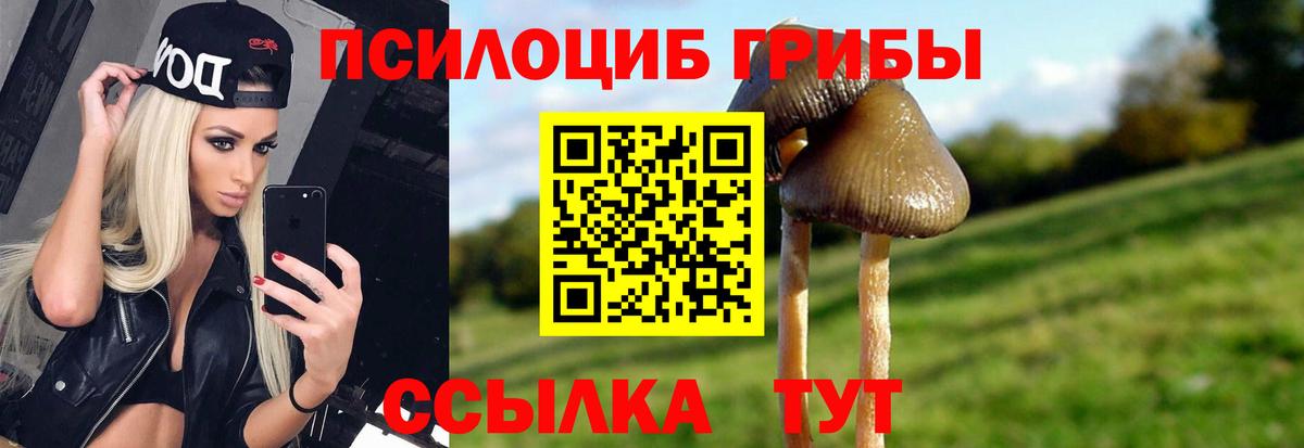 Скопин  Галлюциногенные грибы MAGIC MUSHROOMS  Вход с VPN 