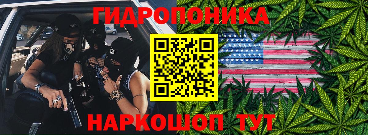 Конопля сатива Скопин